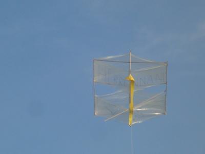 Brennan's box kite at 75 feet