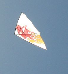 flow tail delta kite