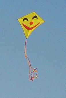 Diamond Kites - Ever Reliable And Iconic!