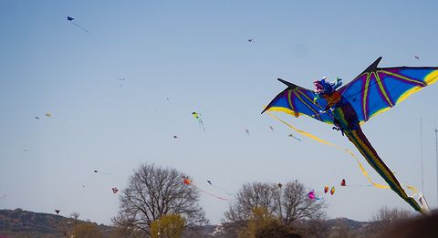 inflatable dragon kite