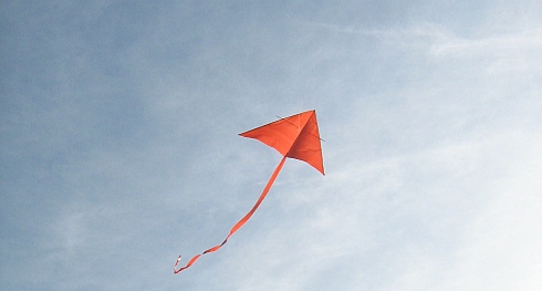 How Does A Kite Fly? A Tale Of Four Forces.