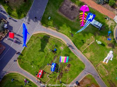 Photo of the Day: Kite Aerial Photography of Coney Island