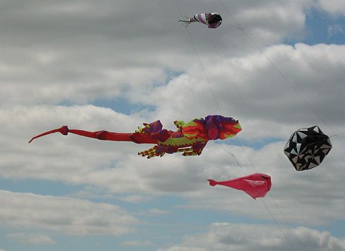 Kite Images - Selected From Past Adelaide Kite Festivals