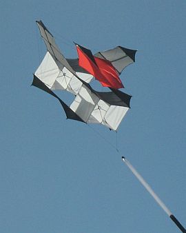 Our Best Kite Pictures - Adelaide International Kite Festival 2009