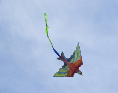 a bird kite