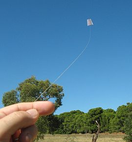 Kite Floats