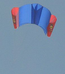 Sled Kites - Simply Convenient!
